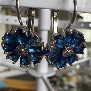 Elegant Blue Flower Earrings